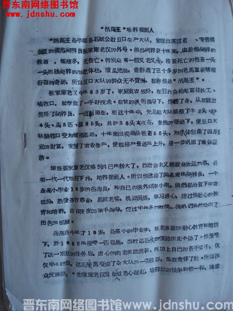 （豆口）“活马王”培养接班人（19640818）