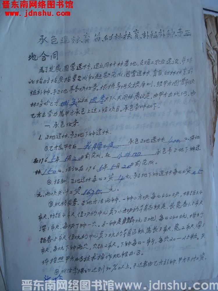 承包造林、育苗、幼林抚育、补植补种、预整地合同（19650219）