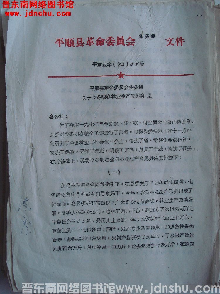 平顺县革命委员会业务组文件 平革业字（72）89号：平顺县革命委员会业务组关于今冬明春林业生产安排意
