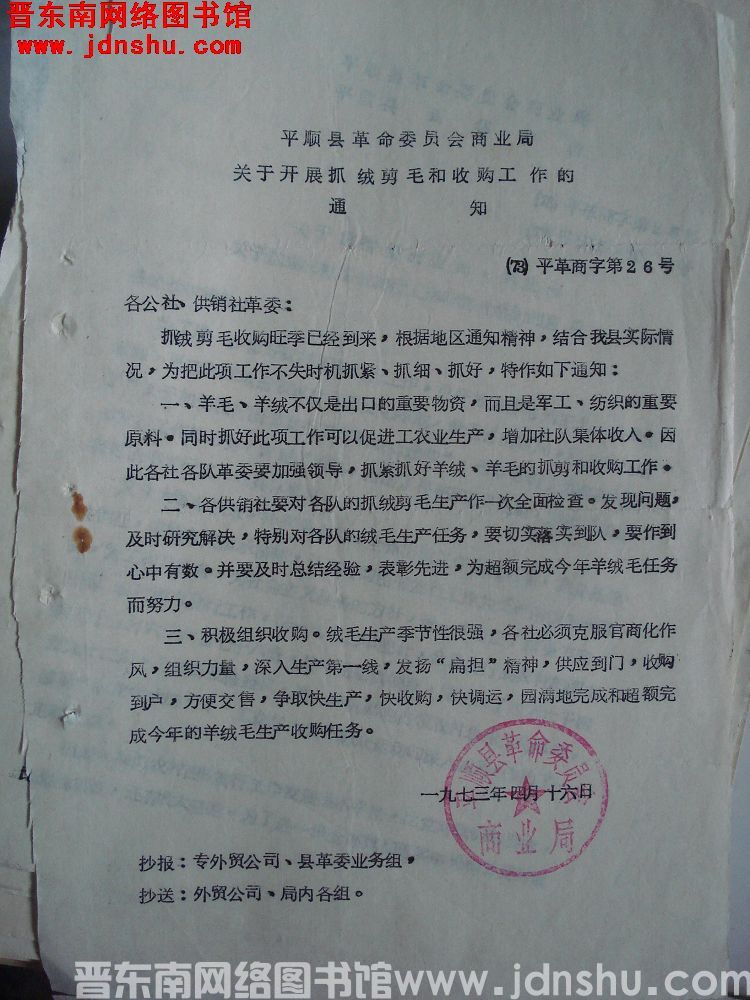平顺县革命委员会商业局关于开展抓绒剪毛和收购工作的通知（73）平革商字第26号