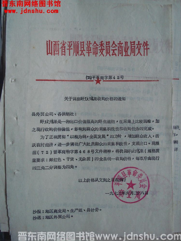 山西省平顺县革命委员会商业局文件（73）平革商字第42号：关于调整野玫瑰果收购价格的通知