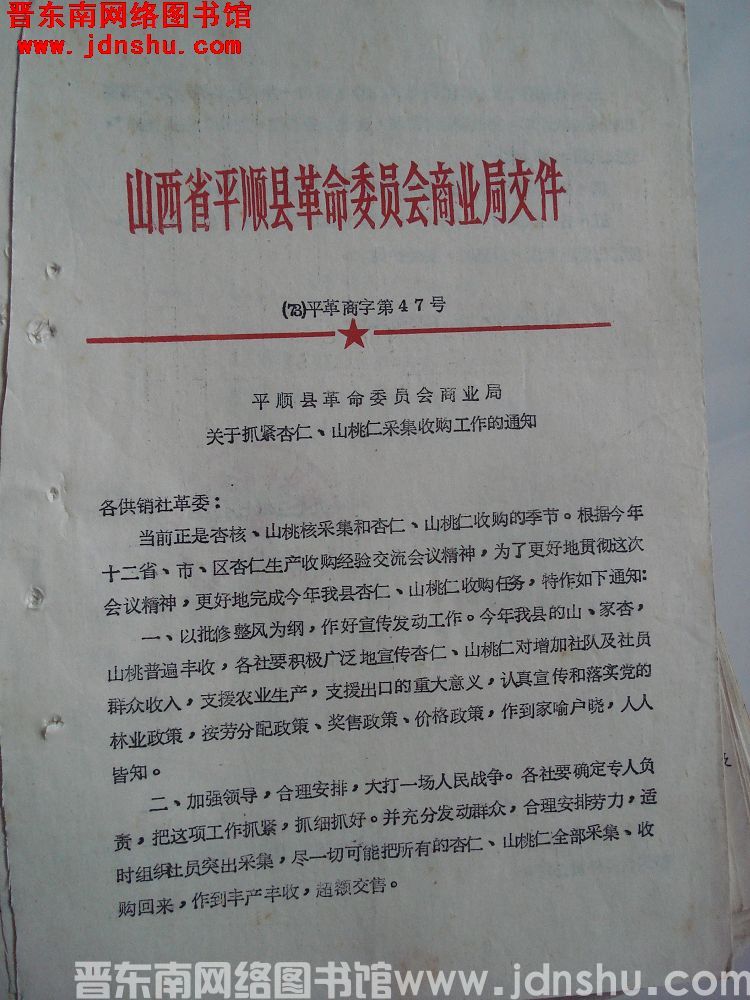 山西省平顺县革命委员会商业局文件（73）平革商字第47号：平顺县革命委员会商业局关于抓紧杏仁、山桃仁
