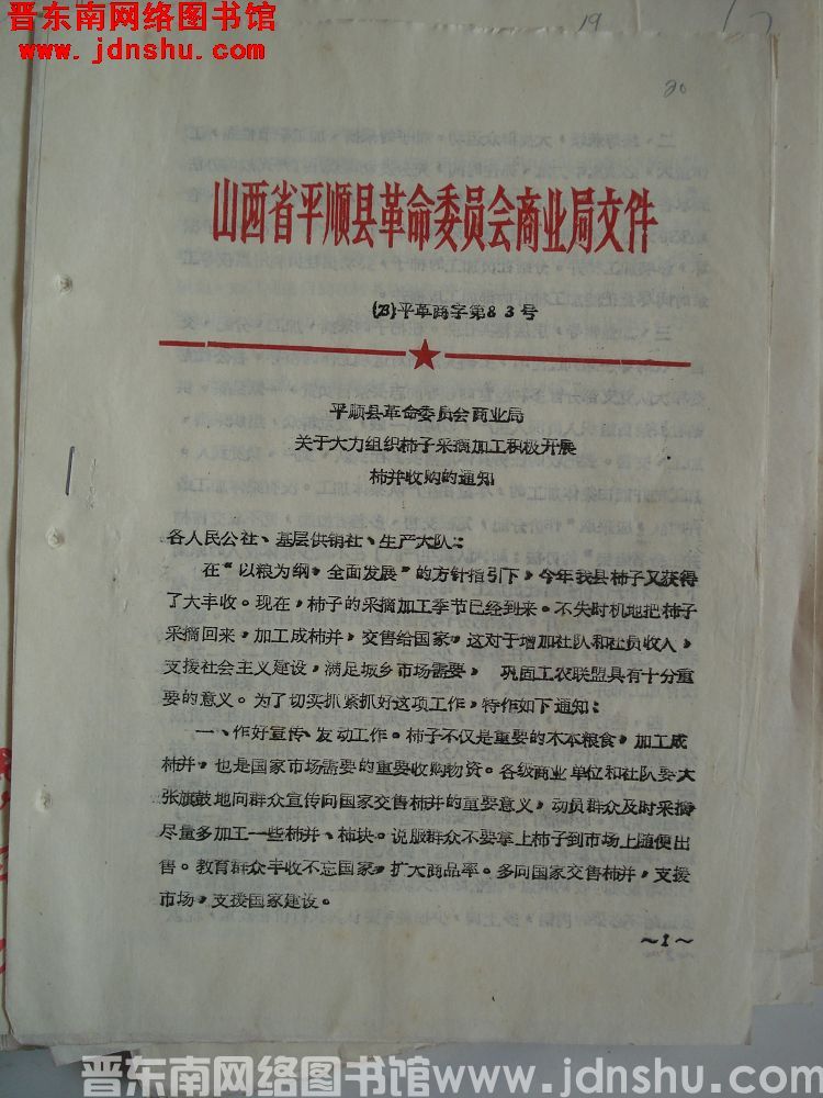 山西省平顺县革命委员会商业局文件（73）平革商字第83号：平顺县革命委员会商业局关于大力组织柿子采摘