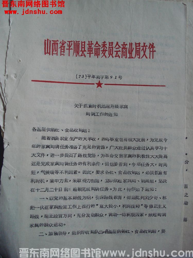 山西省平顺县革命委员会商业局文件（73）平革商字第91号：关于抓紧时机迅速开展家禽购调工作的通知