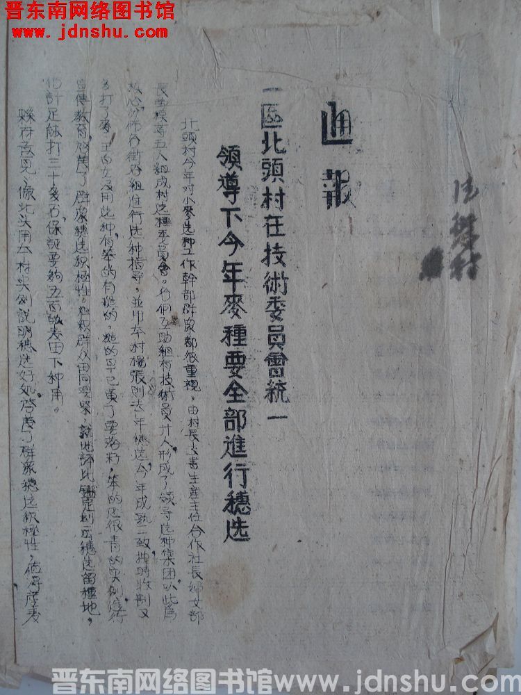 平顺县人民政府通报（19510626）：一区北头村在技术委员会统一领导下今年麦种要全部进行穗选