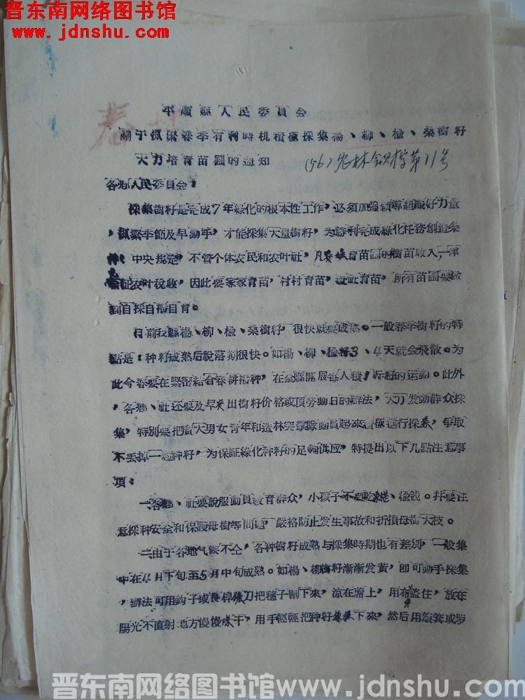 平顺县人民委员会关于抓紧春季有利时机积极采集杨、柳、榆、桑树籽大力培育苗圃的通知（56）农林会财字第