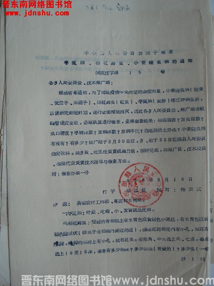 平顺县人民委员会关于检查枣疯病、棉红铃虫、小麦线虫病的通知（56）农技字第15号