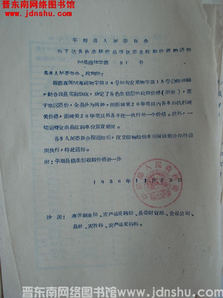 平顺县人民委员会为下达各色生猪鬃品质比差及收购价格的通知（56）县商情字第31号