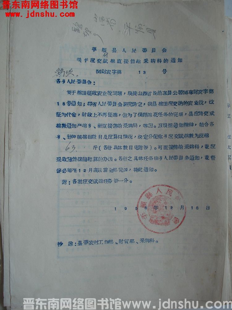平顺县人民委员会关于应交付棉直接售给采购科的通知（56）财农字第13号