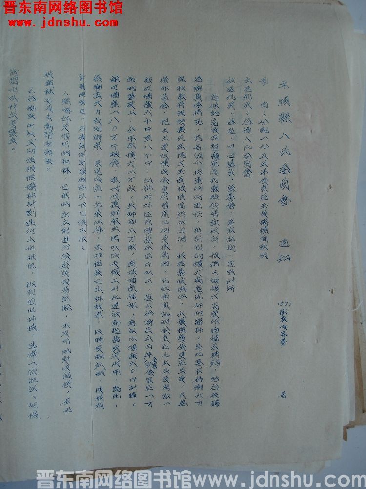 平顺县人民委员会通知（55）县农政字第  号：分配一九五五年金皇后玉茭播种面积由