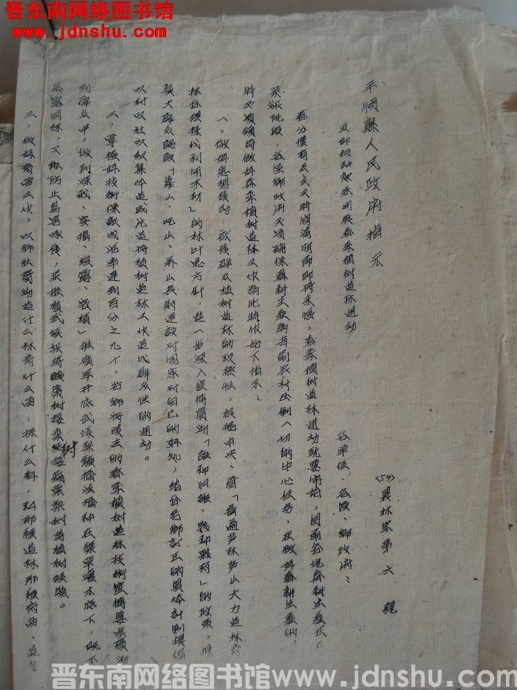 平顺县人民政府指示（54）农林字第6号：立即行动起来开展春季植树造林运动