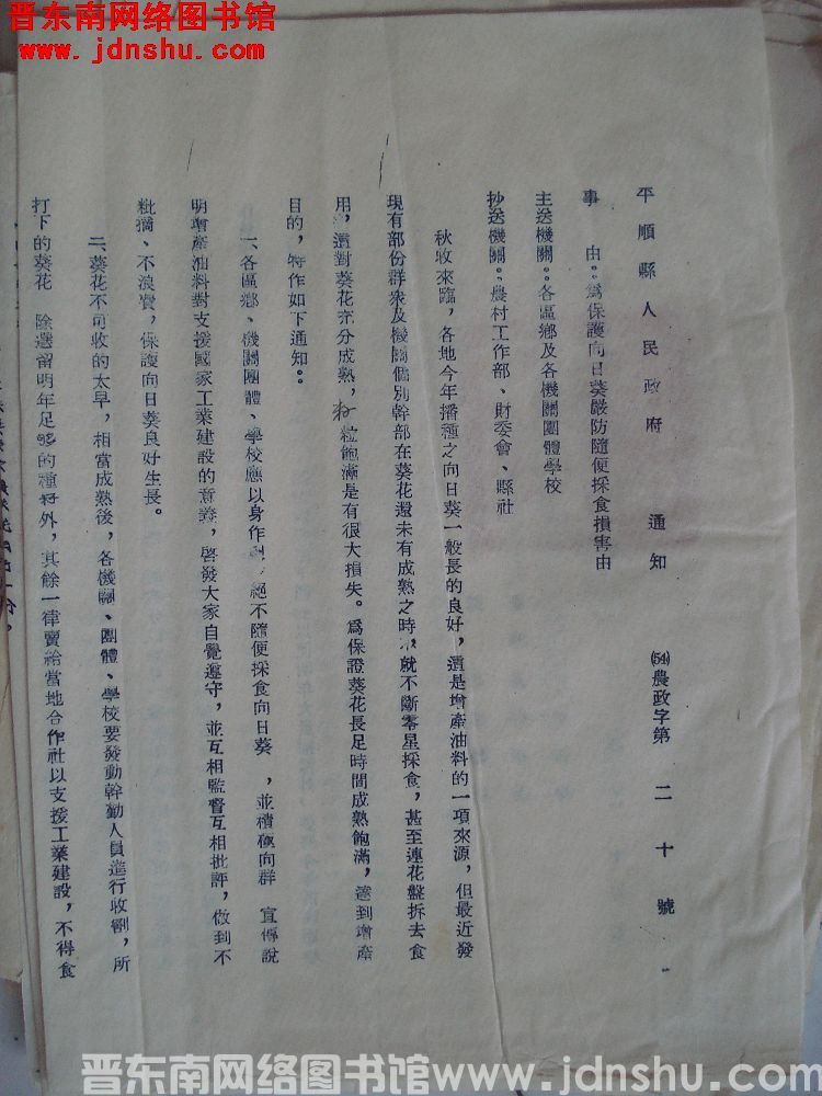 平顺县人民政府通知（54）农政字第20号：为保护向日葵严防随便采食损害由