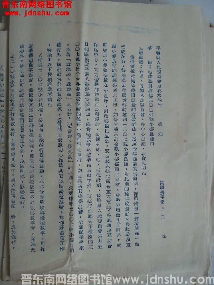 平顺县人民委员会农林水利局通知（55）县农字第12号：迅速认真收购三〇〇七号小麦良种由