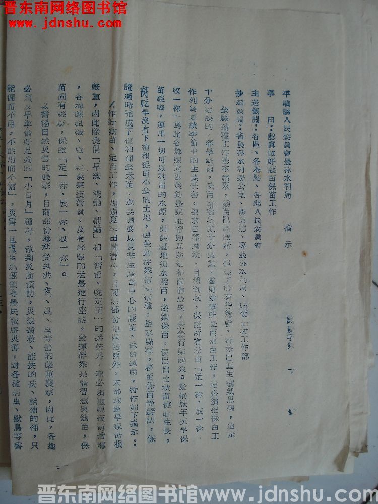 平顺县人民委员会农林水利局指示（55）农字第10号：认真做好护苗保苗工作