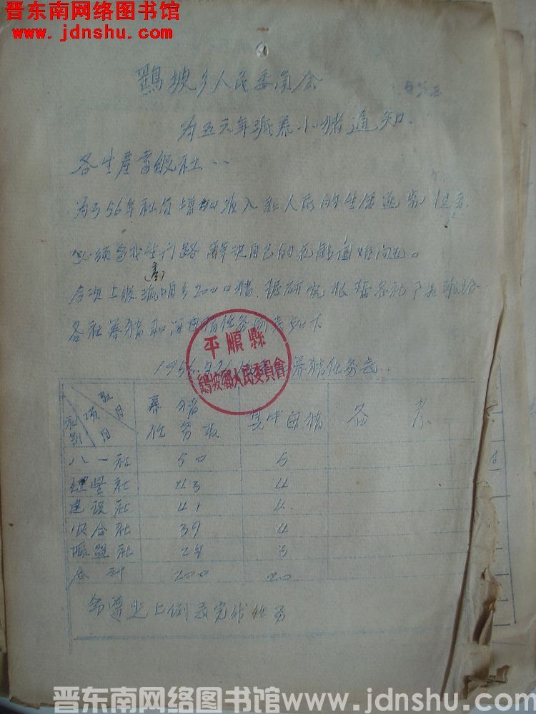 鹞坡乡人民委员会为五六年派养小猪通知（19560726）