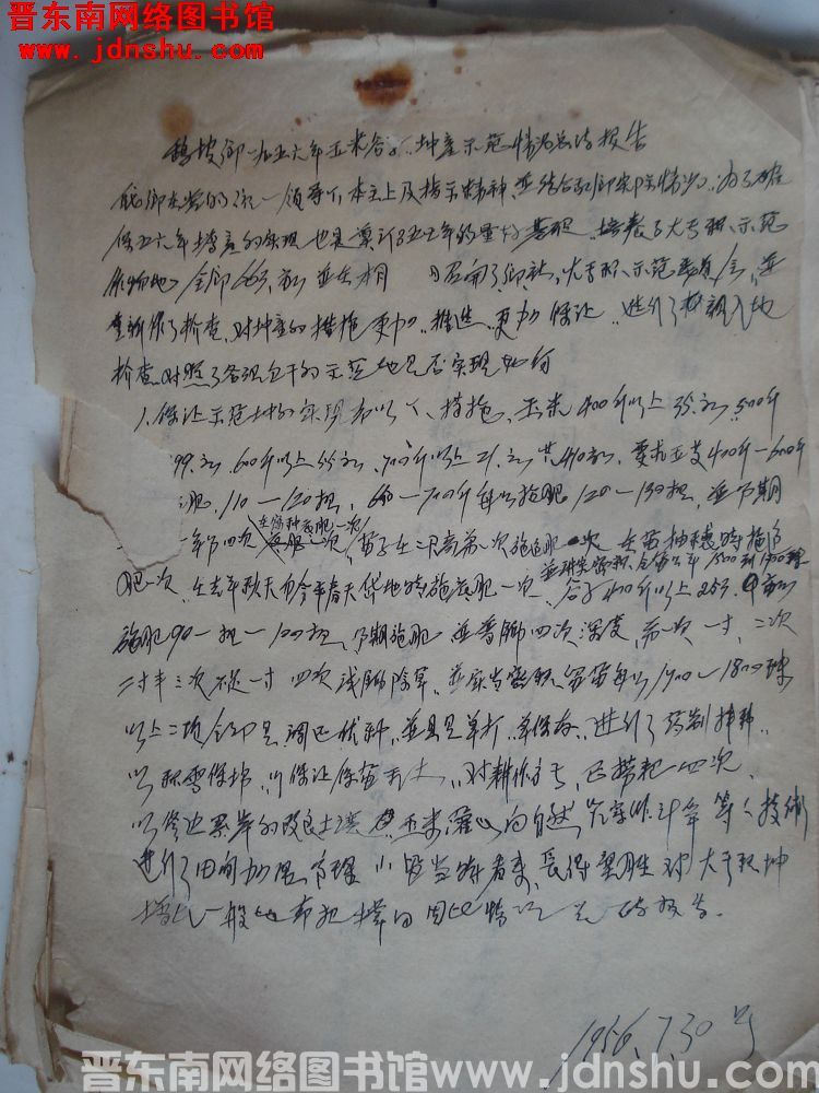 鹞坡乡一九五六年玉米谷子增产示范情况总结报告（19560730）