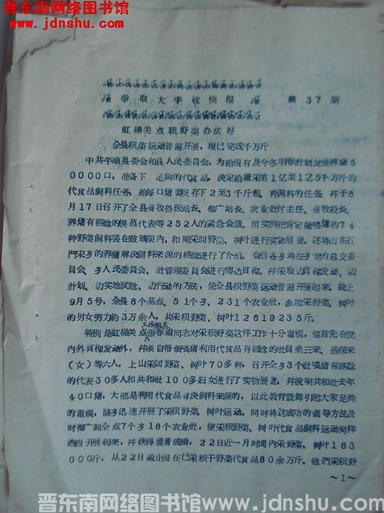 争取大丰收快报 第37期：虹梯关点积野菜办法好，全县积菜运动普遍开展，现已完成千万斤