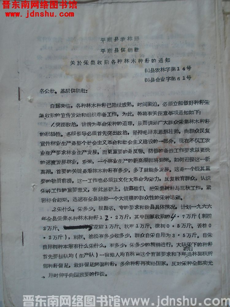 平顺县农林局、平顺县供销合作社关于采集收购各种林木种籽的通知（66）县农林字第14号、（66）县合业