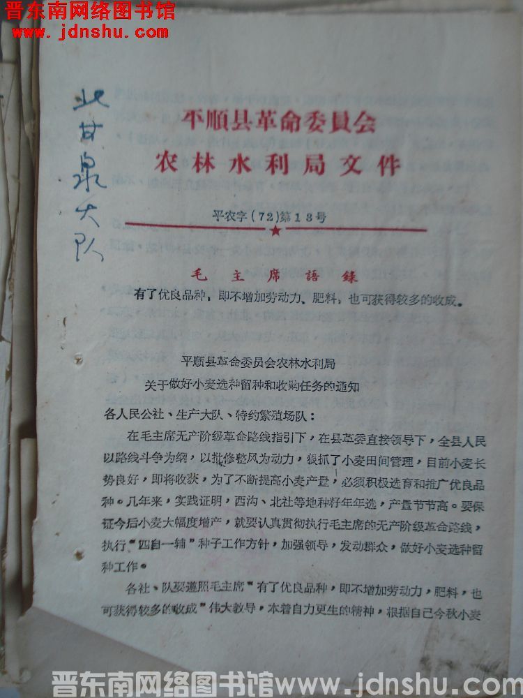 平顺县革命委员会农林水利局文件 平农字（72）第13号：平顺县革命委员会农林水利局关于做好小麦选种留