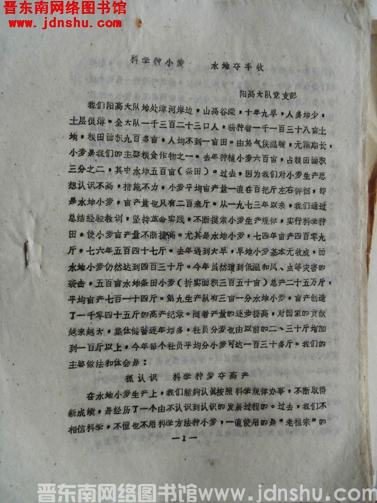 （阳高）科学种小麦，水地夺丰收（19790708）