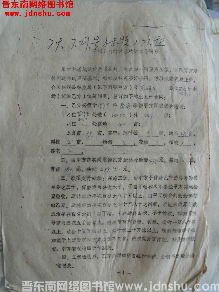 平顺县用材林基地造林合同单（玉峡关公社石门口大队 19790320）