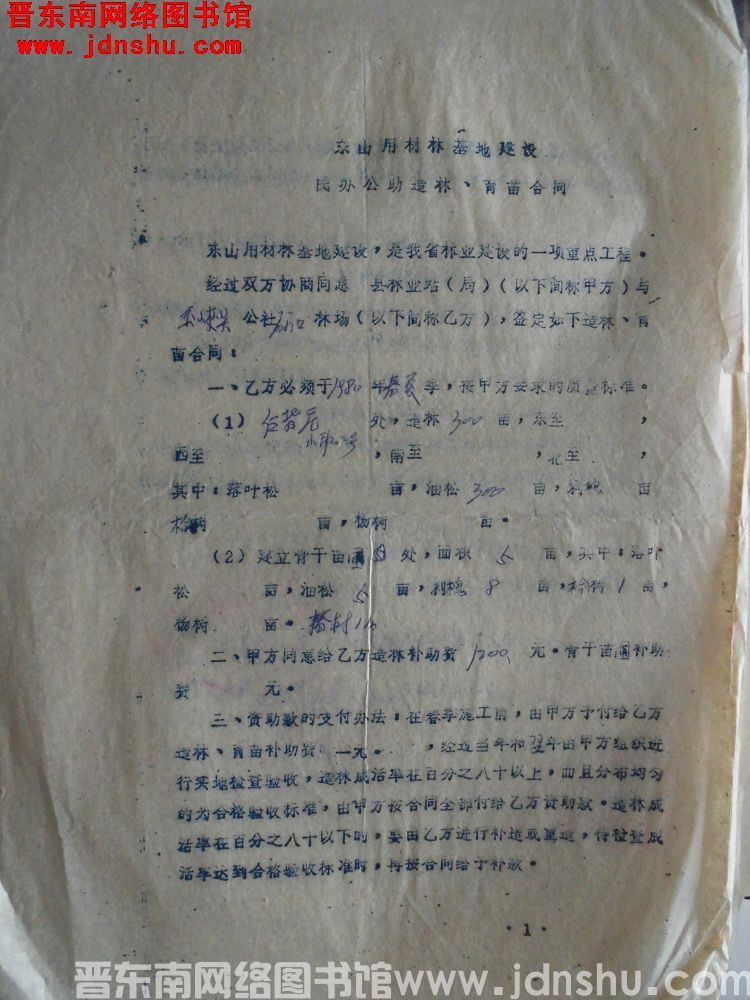 东山用材林基地建设民办公助造林、育苗合同（玉峡关公社石门口大队 19800327）