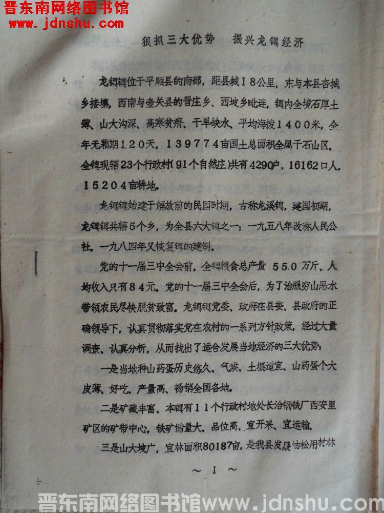 狠抓三大优势，振兴龙镇经济（1989）