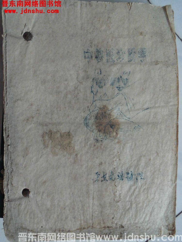 中兽医诊断学